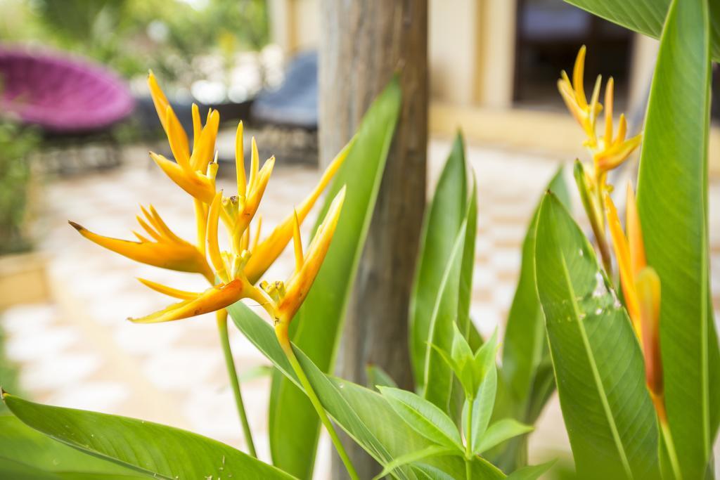 Champa Lodge Kampot Luaran gambar