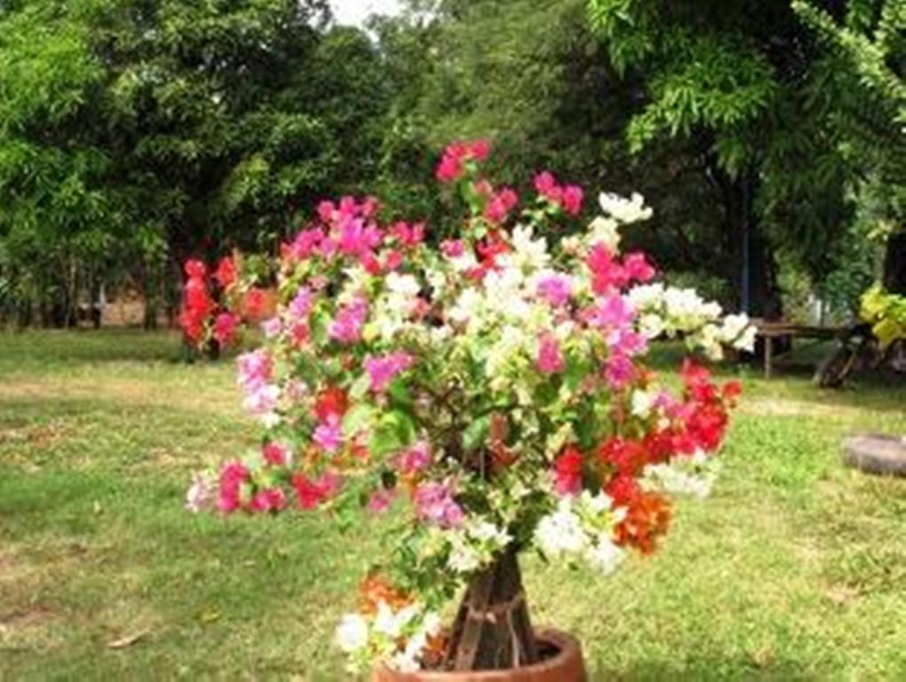 Champa Lodge Kampot Luaran gambar