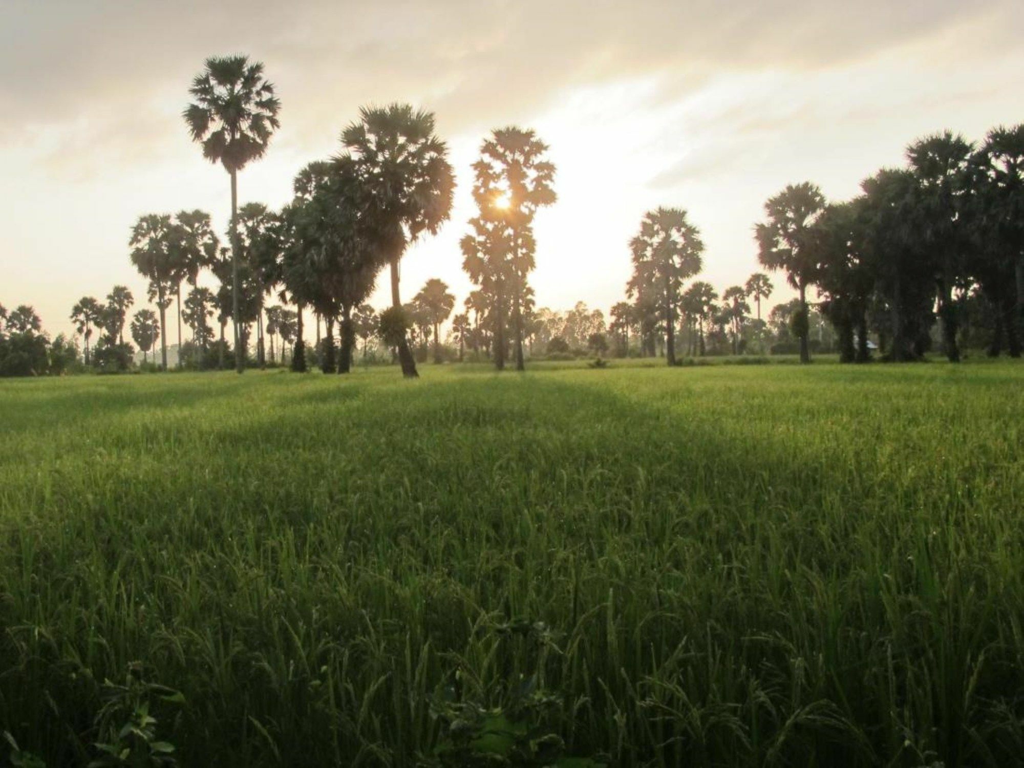 Champa Lodge Kampot Luaran gambar